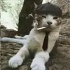 Caleb Andrade - @caleb.andrade84 - TikTok