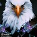 Kaleb Araújo - Facebook