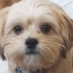 Caleb - @_caleb__arnold_ - Instagram