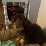 Caleb Arnwine - @arnwine_caleb - Instagram