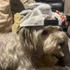 Caleb Aaron - @caleb.aaron5 - TikTok