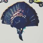 caleb ash - @caleb___ash2019 - Instagram
