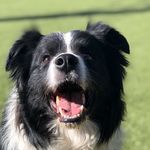 Caleb Ashby - @arestrading7 - Instagram
