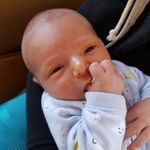 Caleb Asher - @caleb_asher - Instagram