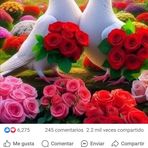 Caleb Avila - Facebook