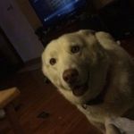 caleb ayers - @ayers.caleb - Instagram