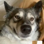 Caleb Bagley - @buck_juice - Instagram