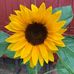 Caleb Scott Bancroft - Facebook