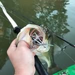 Adam Bernecker - @calebbarger - Instagram