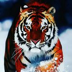 Caleb.Barker - @_barker.caleb_ - Instagram