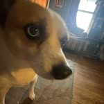 caleb barrett - @caleb_barrett2915 - Instagram