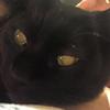 Ze_Great_C - @calebbarron8 - TikTok