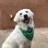 Caleb Bartel - @caleb.bartel4 - TikTok