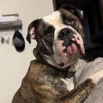 caleb bartels - @calebbartels - Instagram