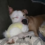 Caleb Basham - @basham.caleb - Instagram