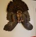 Kaleb Baum - Facebook