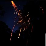 Caleb Baumgardner - @flaminggamer90 - Instagram