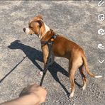 Caleb Baxter - Facebook