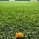Caleb Beck - @calebbeck440 - Instagram