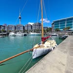 Caleb  Bird - @classic_yacht_dolphin - Instagram