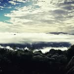 Caleb Bird - @therustedknight - Instagram