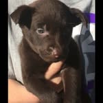 Caleb Black - @caleb.black.102 - Instagram