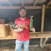 Browning gamefowl - @calebbrowning52 - TikTok