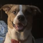 Caleb Browning - @caleb.browning.9083 - Instagram