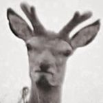 Caleb Bruce - @caleb.bruce.92 - Instagram