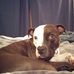 Caleb Bryan - Facebook