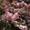 Caleb Bryan  - @caleb.bryan - TikTok