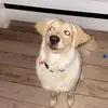 caleb_burch - @caleb_burch - TikTok