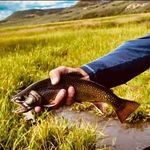 Caleb Burke - @burkecaleb15 - Instagram