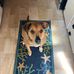 Caleb Burr - Facebook
