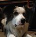 Caleb Burr - Facebook