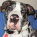 Caleb Bussell - Facebook