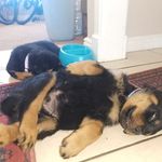 Caleb Butler - @caleb.butler.75033 - Instagram