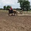 Caleb Butler - @calebbutler42 - TikTok