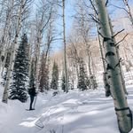 Caleb Callaway - @lilgrimcaleb - Instagram