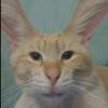 caleb12 - @caleb.camacho - TikTok