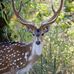 Caleb Caraway - Facebook