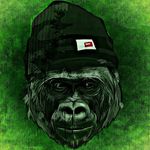caleb carey - @caleb_carey06 - Instagram