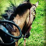 Caleb Carlos - @caleb1635 - Instagram