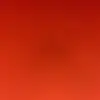 Caleb Carman - @caleb.carman8 - TikTok