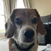 Caleb - @caleb.carpenter989 - TikTok