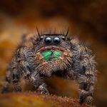 Caleb Carpenter - @caleb_carpenterc4 - Instagram