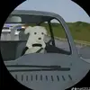 Caleb carrillo - @caleb.carrillo4 - TikTok
