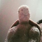caleb carroll - @calebcarroll123 - Instagram