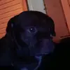 Caleb Carroll - @caleb.carroll32 - TikTok