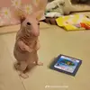 Caleb Carroll - @caleb.carroll88 - TikTok